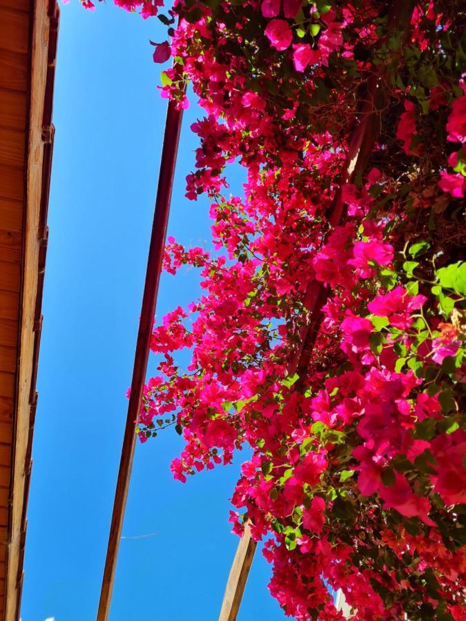 הוילה מנדוזה Veinticinco Casa De Huespedes מראה חיצוני תמונה